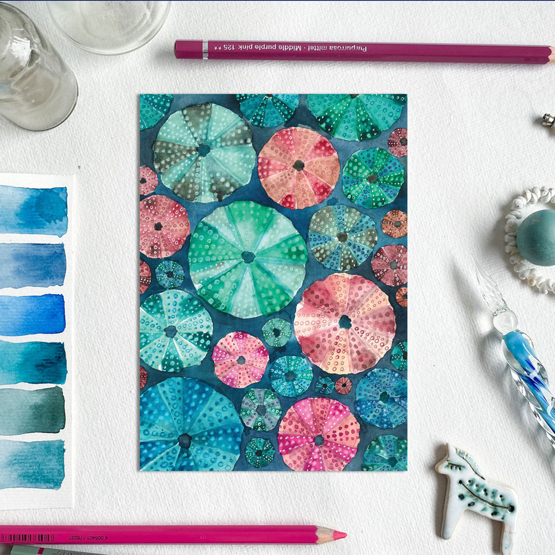 kartka z jeżowcami morskimi z kolekcji Morski Świat