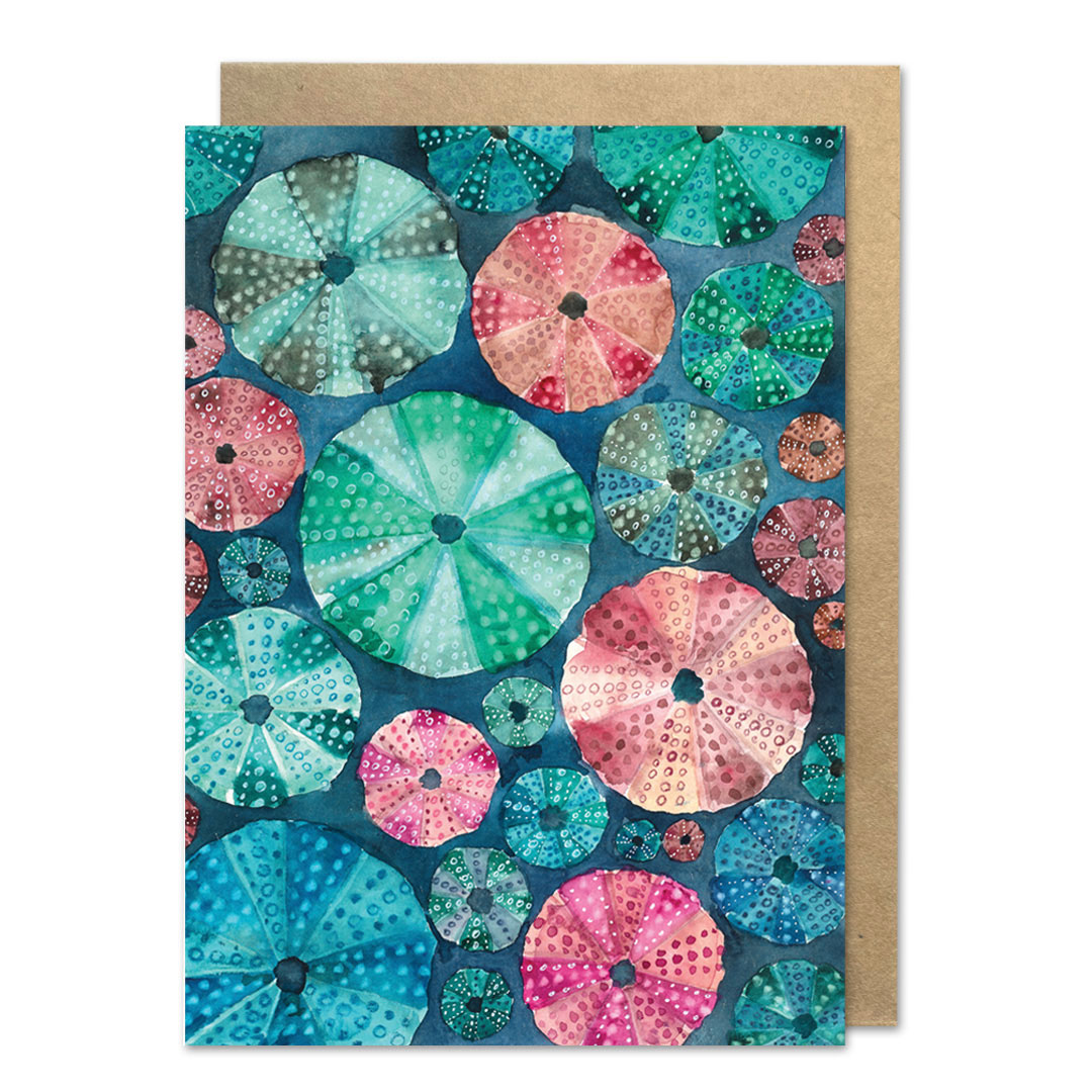 kartka z jeżowcami morskimi z kolekcji Morski Świat
