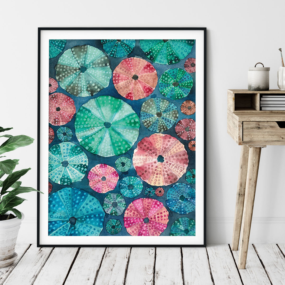 plakat z jeżowcami z serii Morski Świat