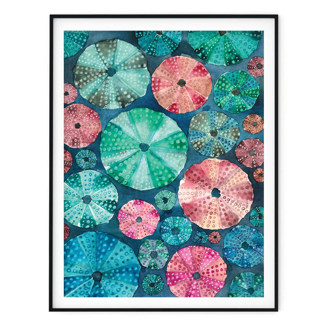 plakat z jeżowcami z serii Morski Świat